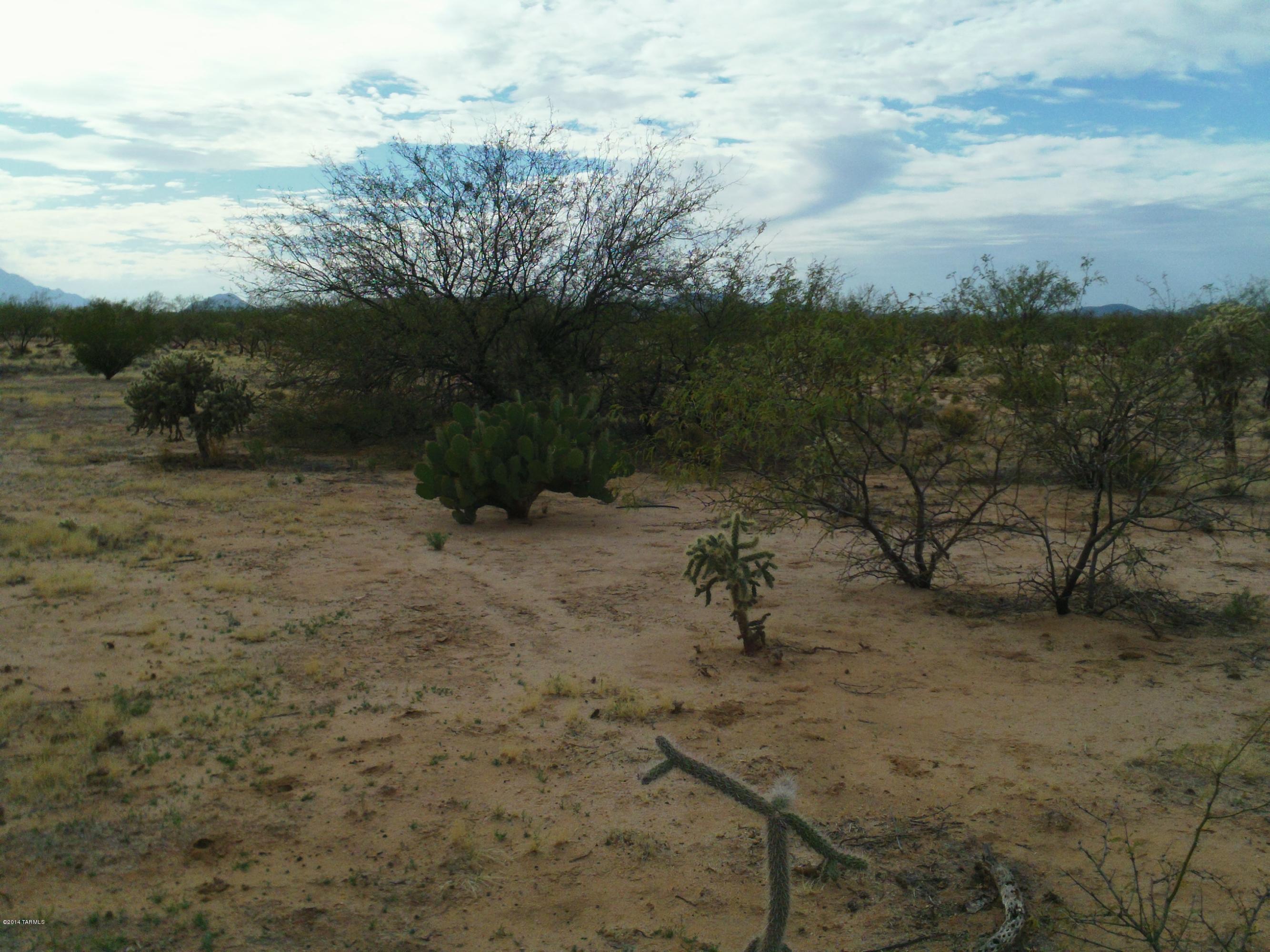 8574 South Marstellar Road, Unit 1 Tucson, AZ 85736 - Photo 1 of 9 Gallery Image 1