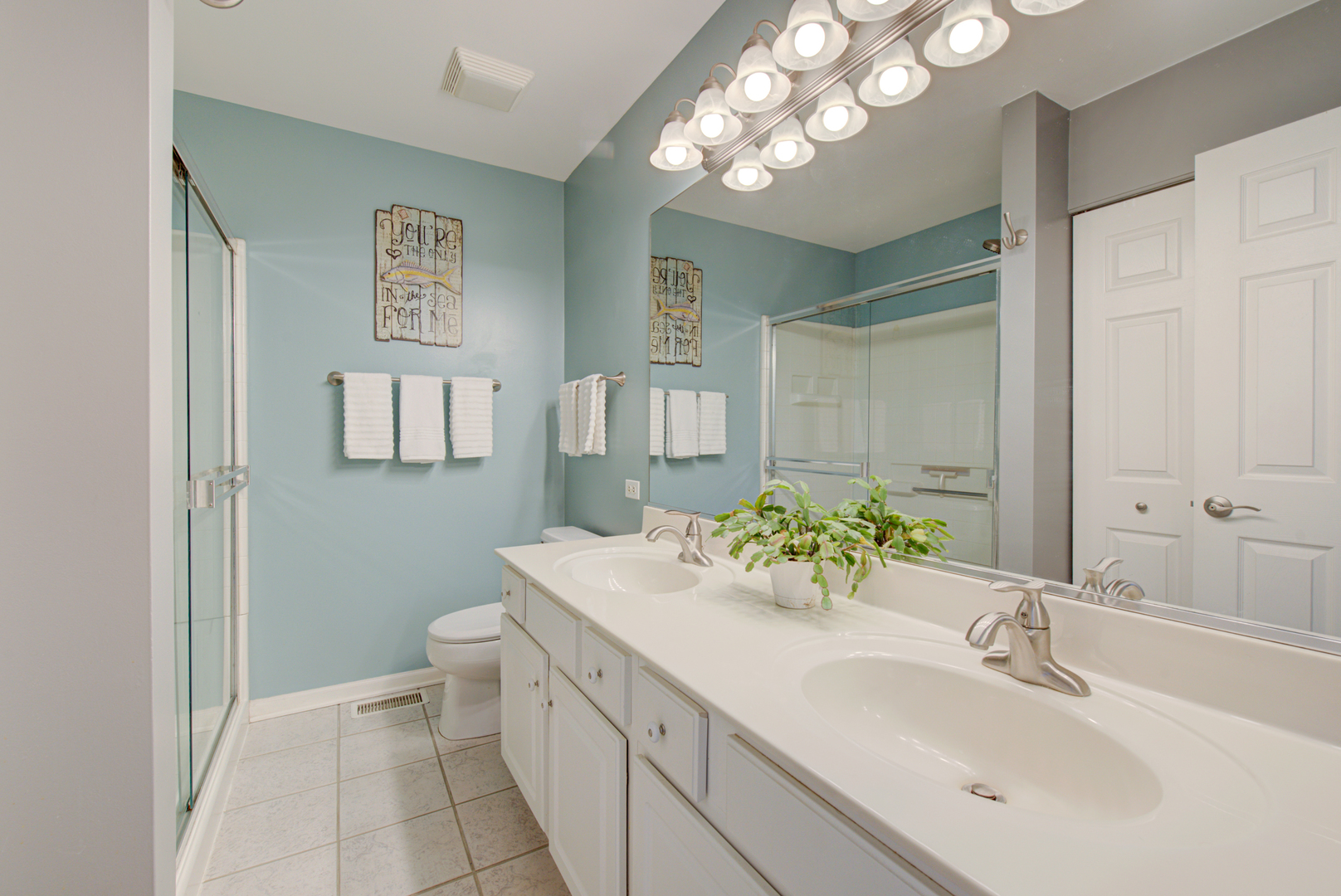 1201 Delta Drive Elgin, IL 60123 - Photo 22 of 42 a bathroom with a sink a vanity and a mirror