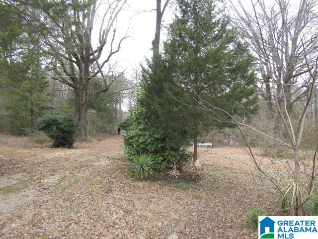 253 Old County Rd 109 Anniston, AL 36201 - Photo 1 of 10