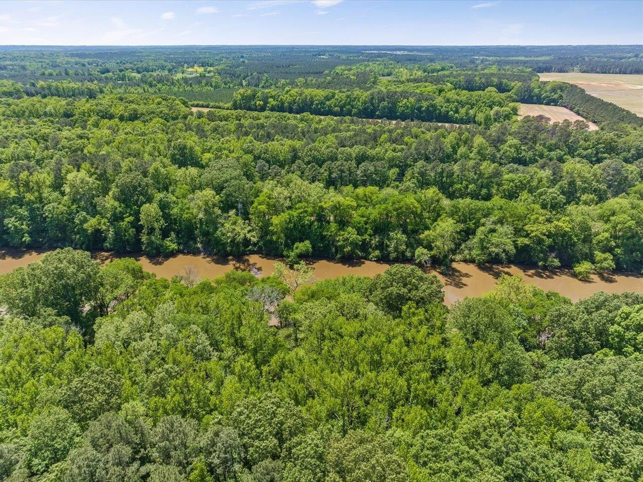 448 River Point Road Moncure, NC 27559 - Photo 45 of 57 Photo 45