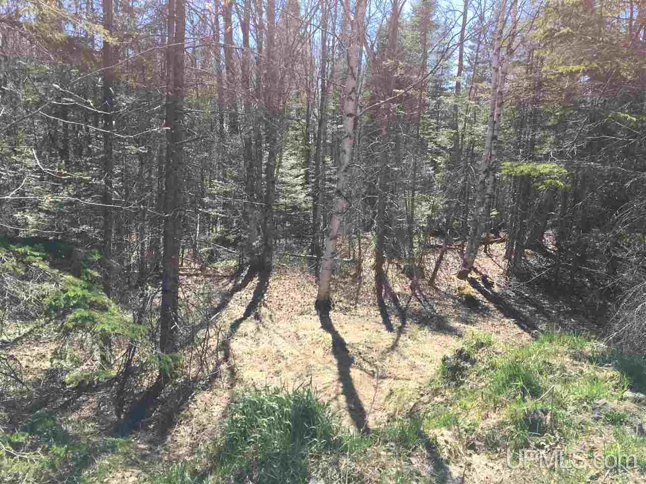 Tbd Chapel Road Munising, MI 49862 - Photo 18 of 36