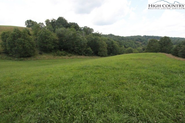 232 Bridle Creek Road Independence, VA 24348 - Photo 11 of 27 Gallery Image 11