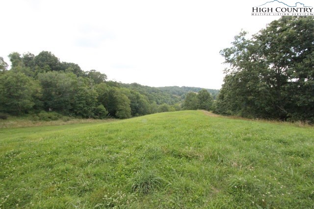 232 Bridle Creek Road Independence, VA 24348 - Photo 12 of 27 Gallery Image 12