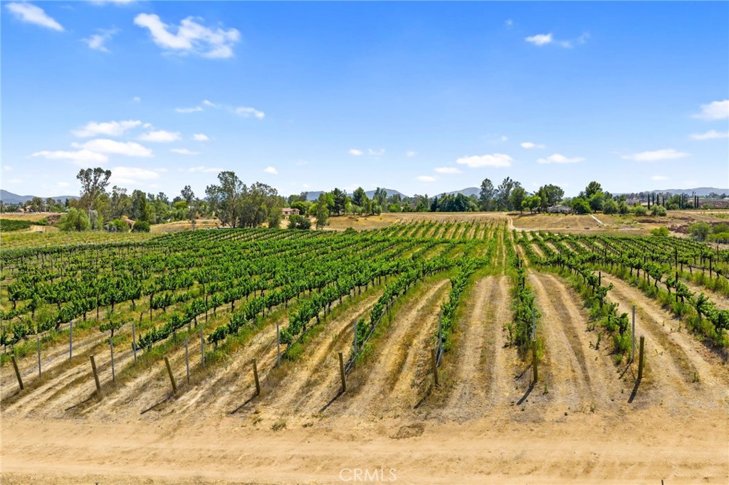 0 Berenda Road Temecula, CA 92591 - Photo 16 of 16 a view of lake and mountain