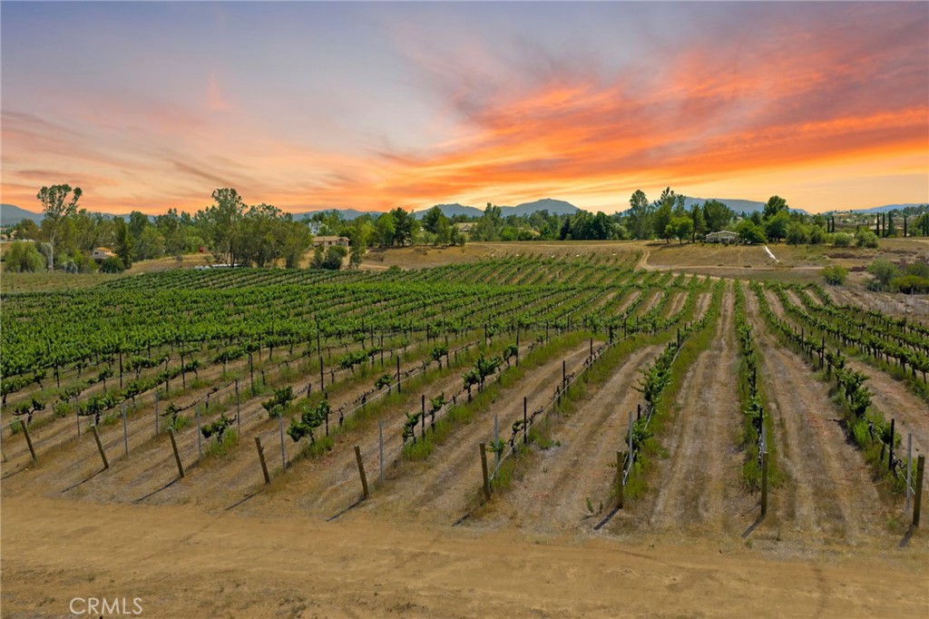 0 Berenda Road Temecula, CA 92591 - Photo 3 of 16 a view of a lush green space