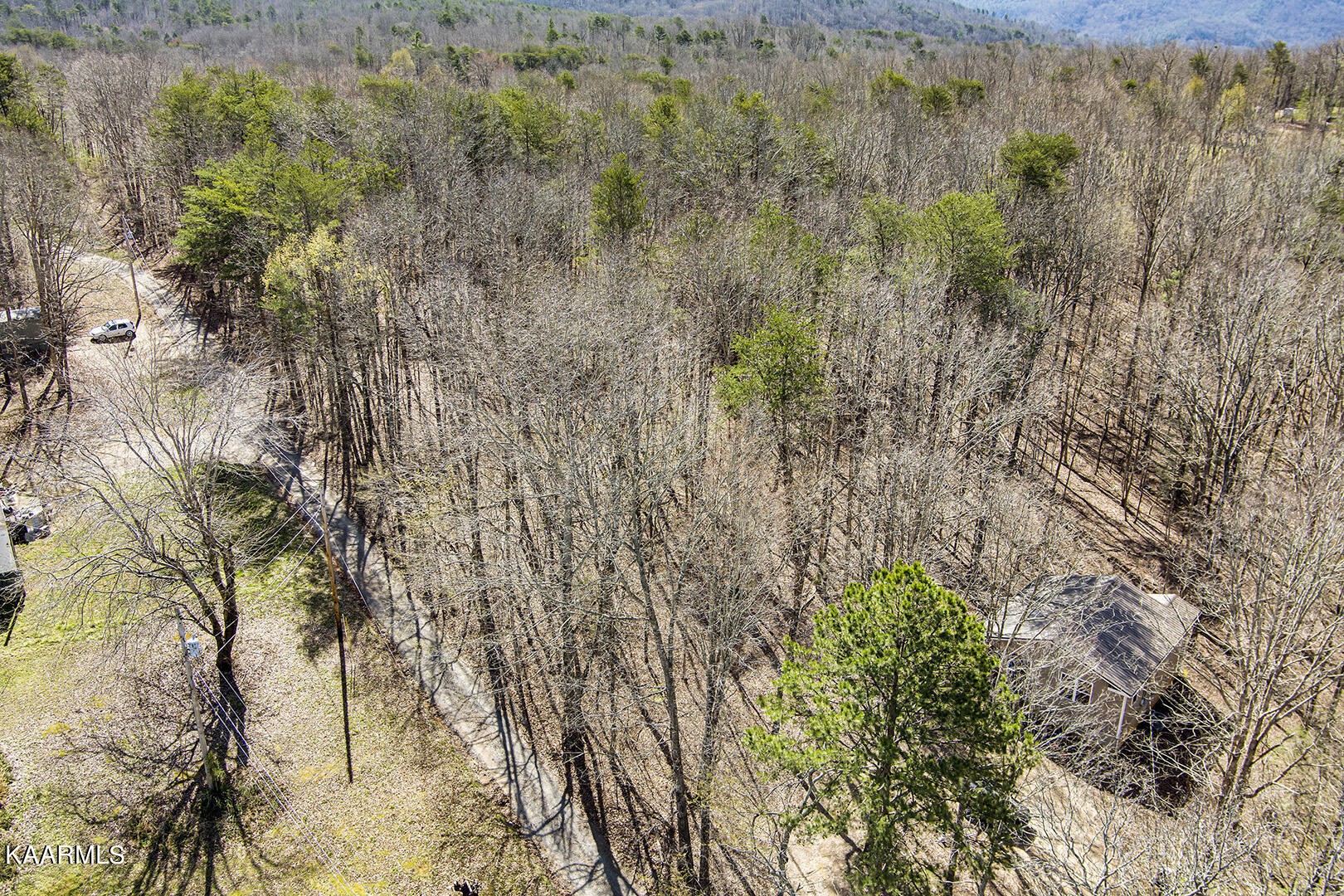 0 Wilcox Lane Delano, TN 37325 - Photo 5 of 14