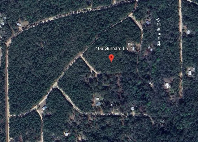 a flag is sitting in the middle of forest