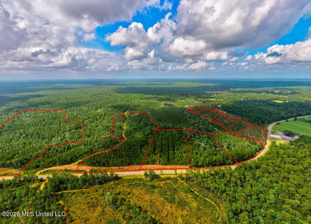 Nhn Lot 2 Nhn Road Saucier, MS 39574 - Photo 41 of 87 HiddenCreekEstates-37