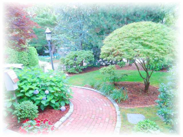 9 Chart Way Mashpee, MA 02649 - Photo 11 of 32 a view of a garden with a pathway