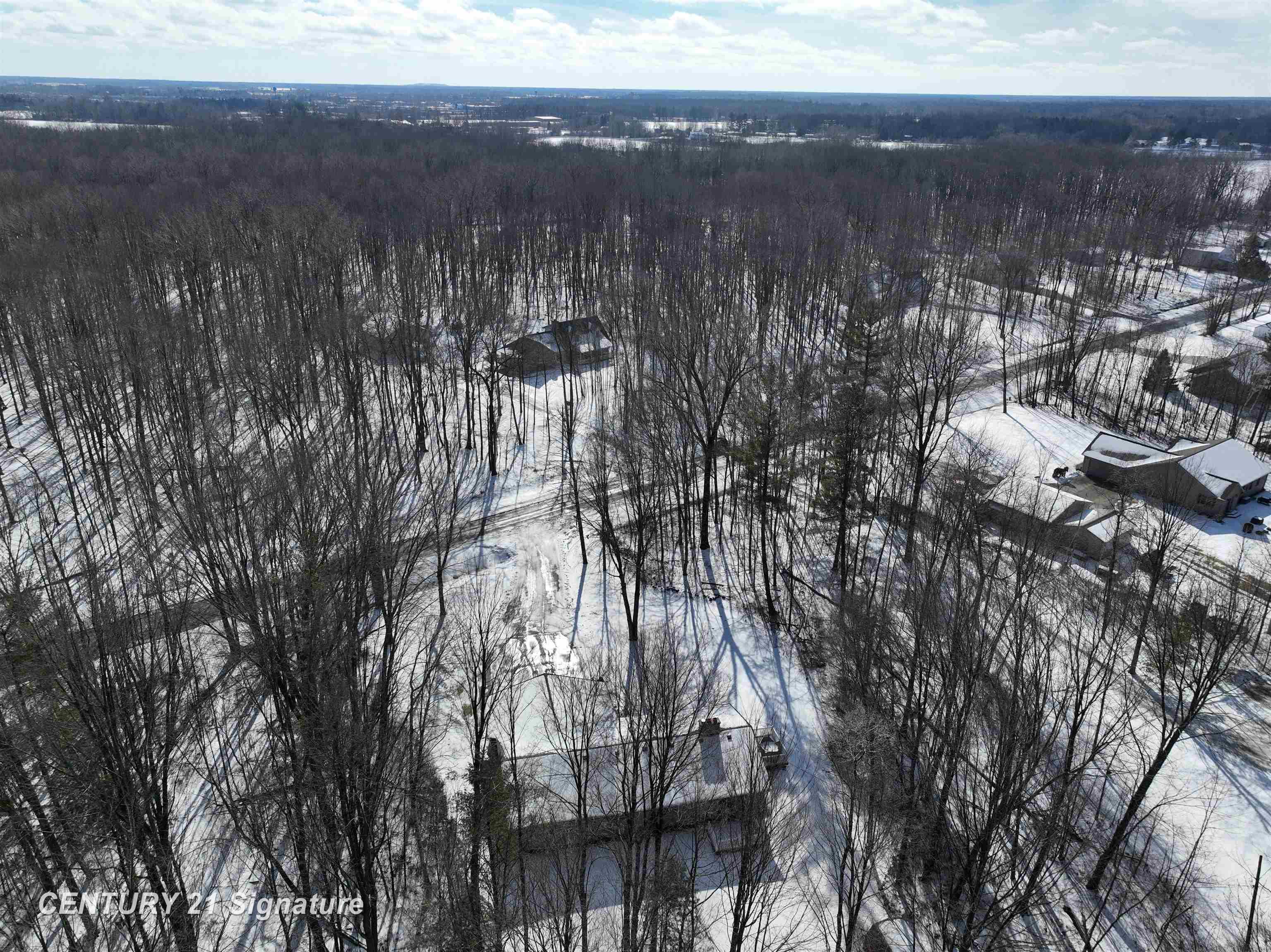 9201 Downing Road Birch Run, MI 48415 - Photo 55 of 59