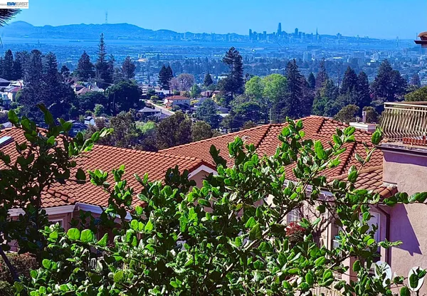 a view of a garden