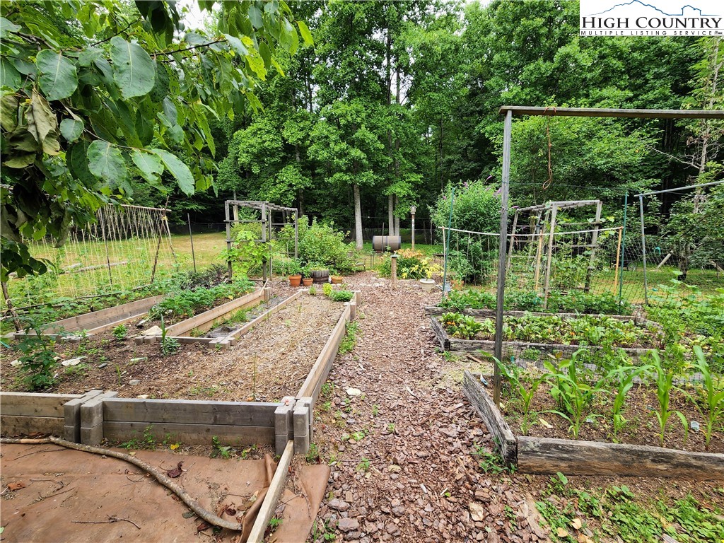 Brightwood Trail Deep Gap, NC 28618 - Photo 11 of 12 a view of a backyard with table and chairs potted plants and large tree