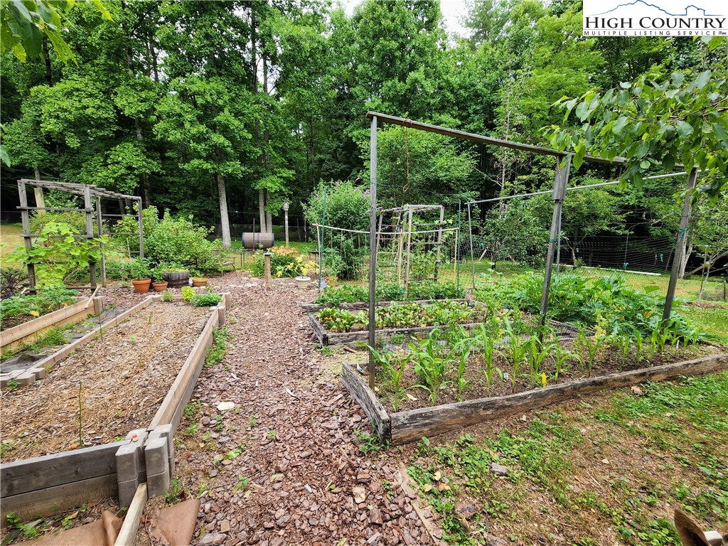 Brightwood Trail Deep Gap, NC 28618 - Photo 12 of 12 a backyard of a house with lots of green space
