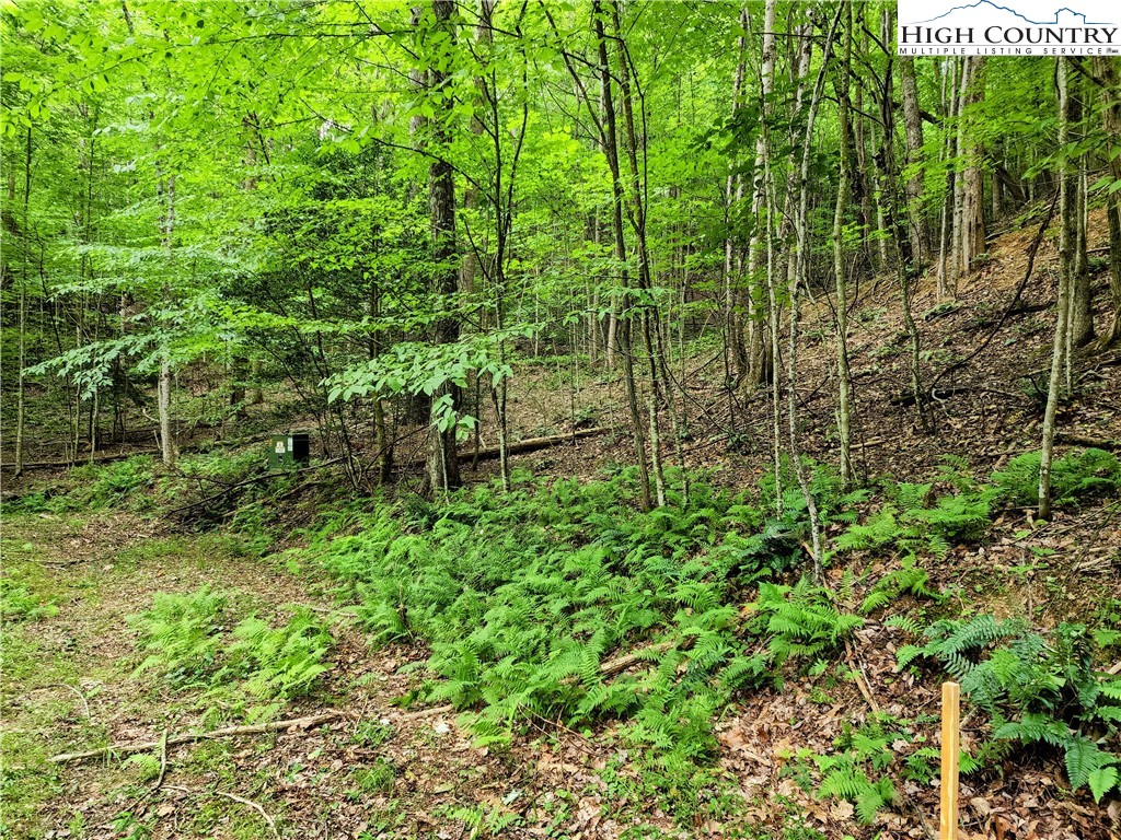Brightwood Trail Deep Gap, NC 28618 - Photo 2 of 12 a view of a garden