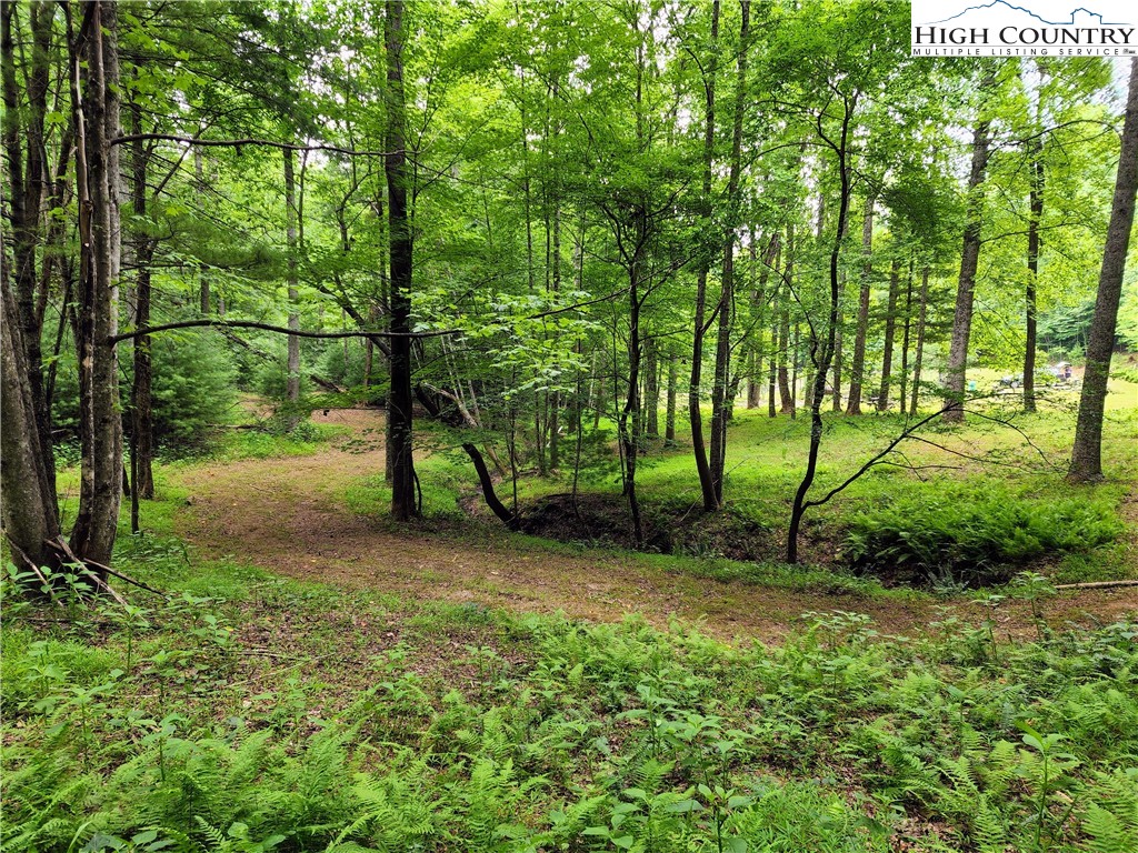 Brightwood Trail Deep Gap, NC 28618 - Photo 3 of 12 a view of a field with a tree