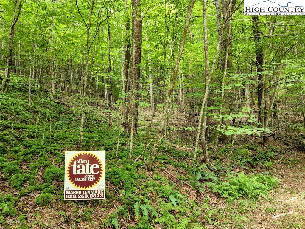 Brightwood Trail Deep Gap, NC 28618 - Photo 5 of 12 a sign broad in front of a red gate