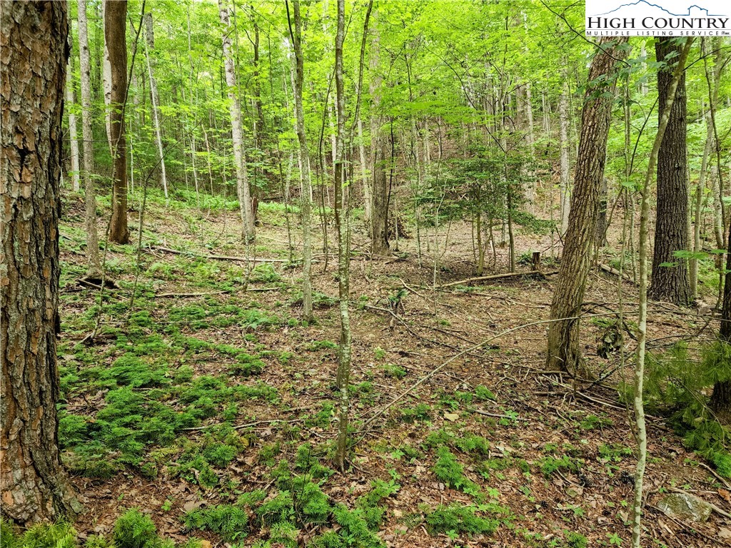 Brightwood Trail Deep Gap, NC 28618 - Photo 6 of 12 a view of a garden