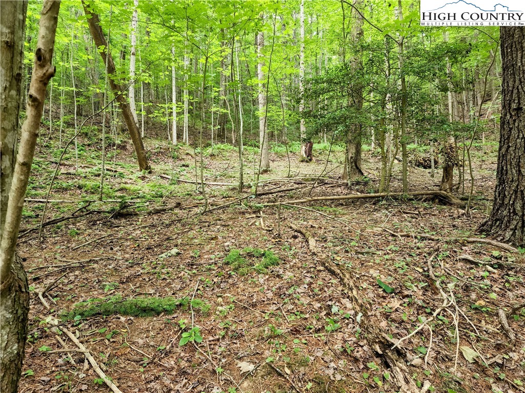Brightwood Trail Deep Gap, NC 28618 - Photo 7 of 12 a view of a garden with plants