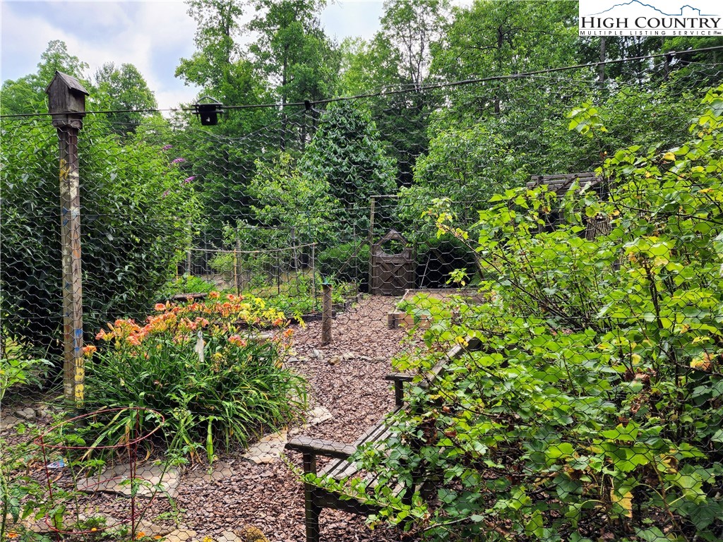 Brightwood Trail Deep Gap, NC 28618 - Photo 8 of 12 a view of a garden with plants and large trees