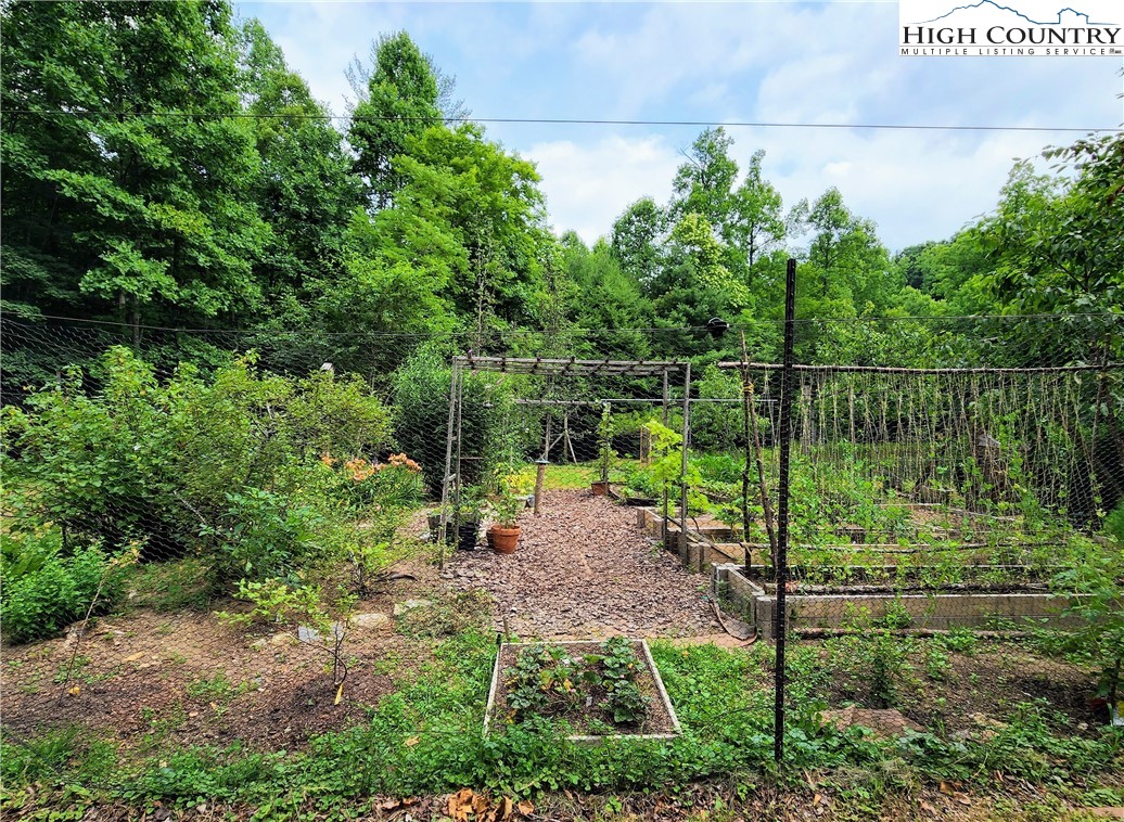 Brightwood Trail Deep Gap, NC 28618 - Photo 9 of 12