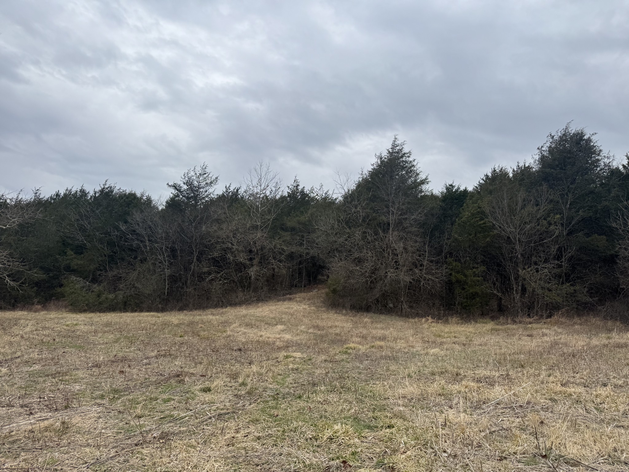 0 Wells Hollow Road Petersburg, TN 37144 - Photo 11 of 48