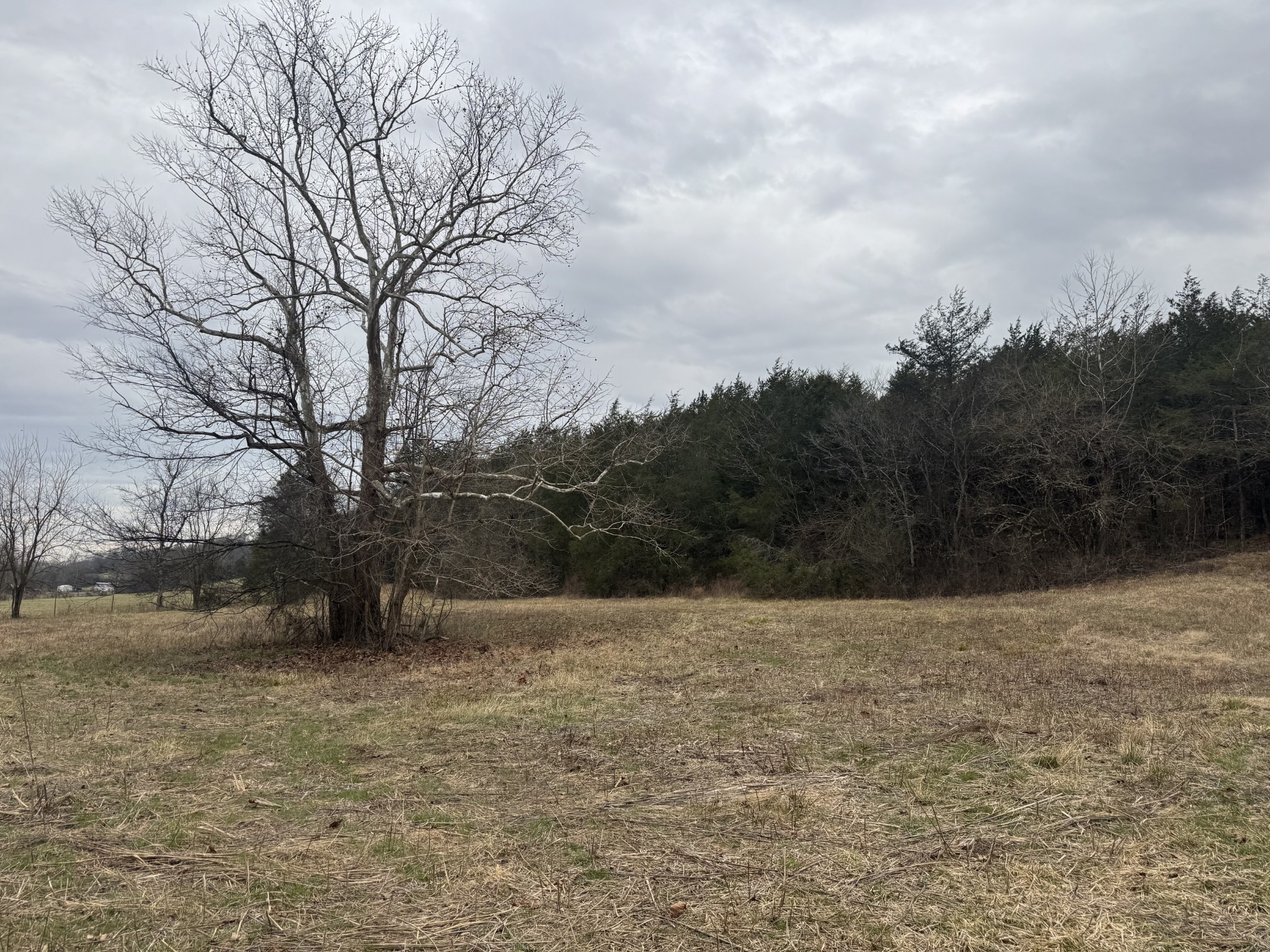 0 Wells Hollow Road Petersburg, TN 37144 - Photo 12 of 48 a backyard of a house with lots of green space