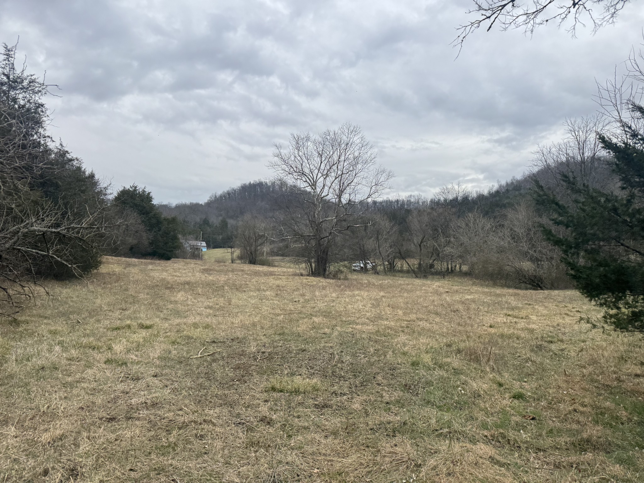 0 Wells Hollow Road Petersburg, TN 37144 - Photo 13 of 48 a view of outdoor space and yard