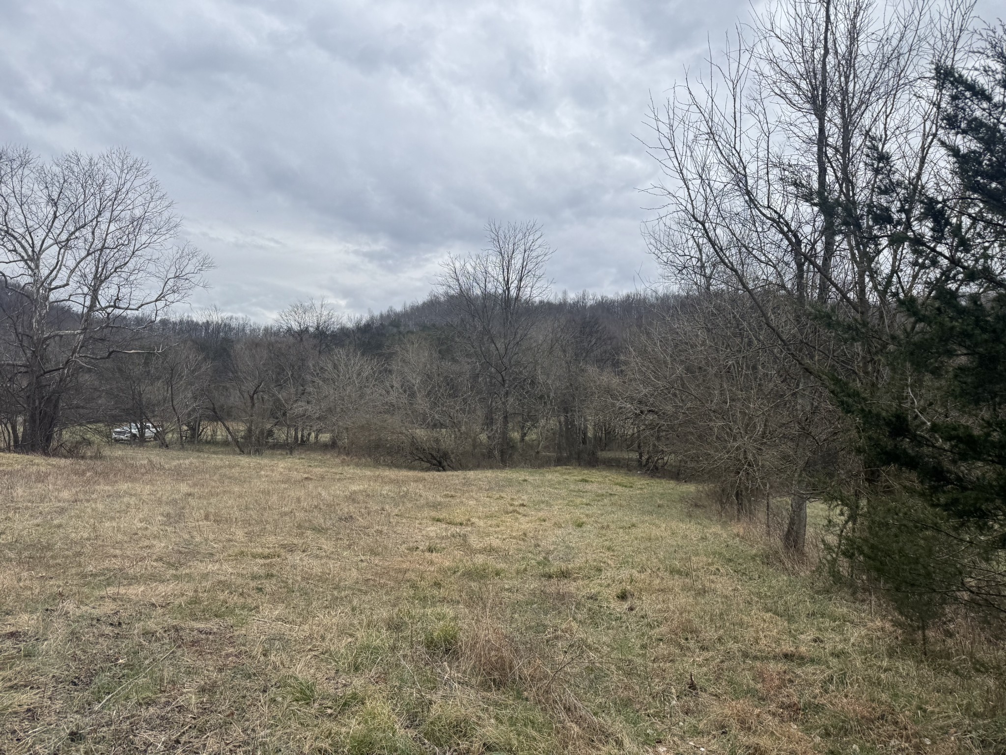 0 Wells Hollow Road Petersburg, TN 37144 - Photo 14 of 48 a view of empty field