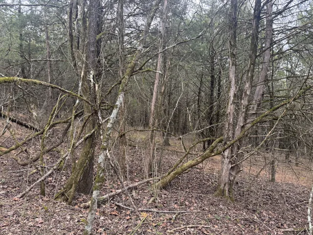 a backyard of a house