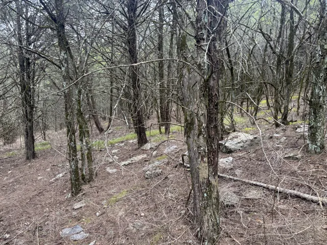 a view of house with trees in the background