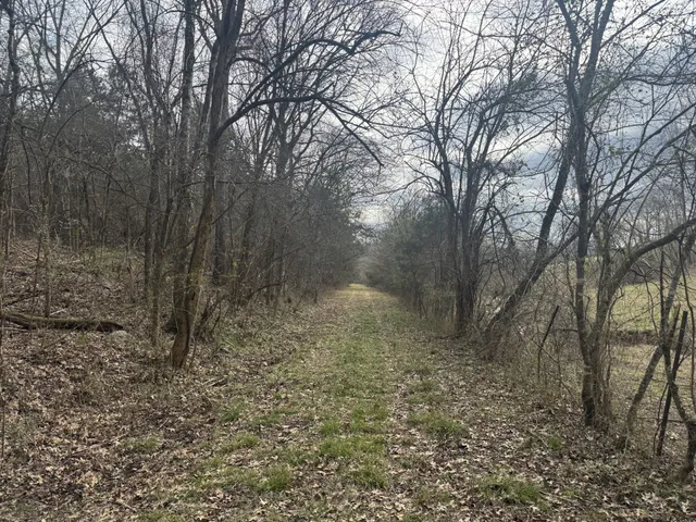 a view of a yard covered in snow