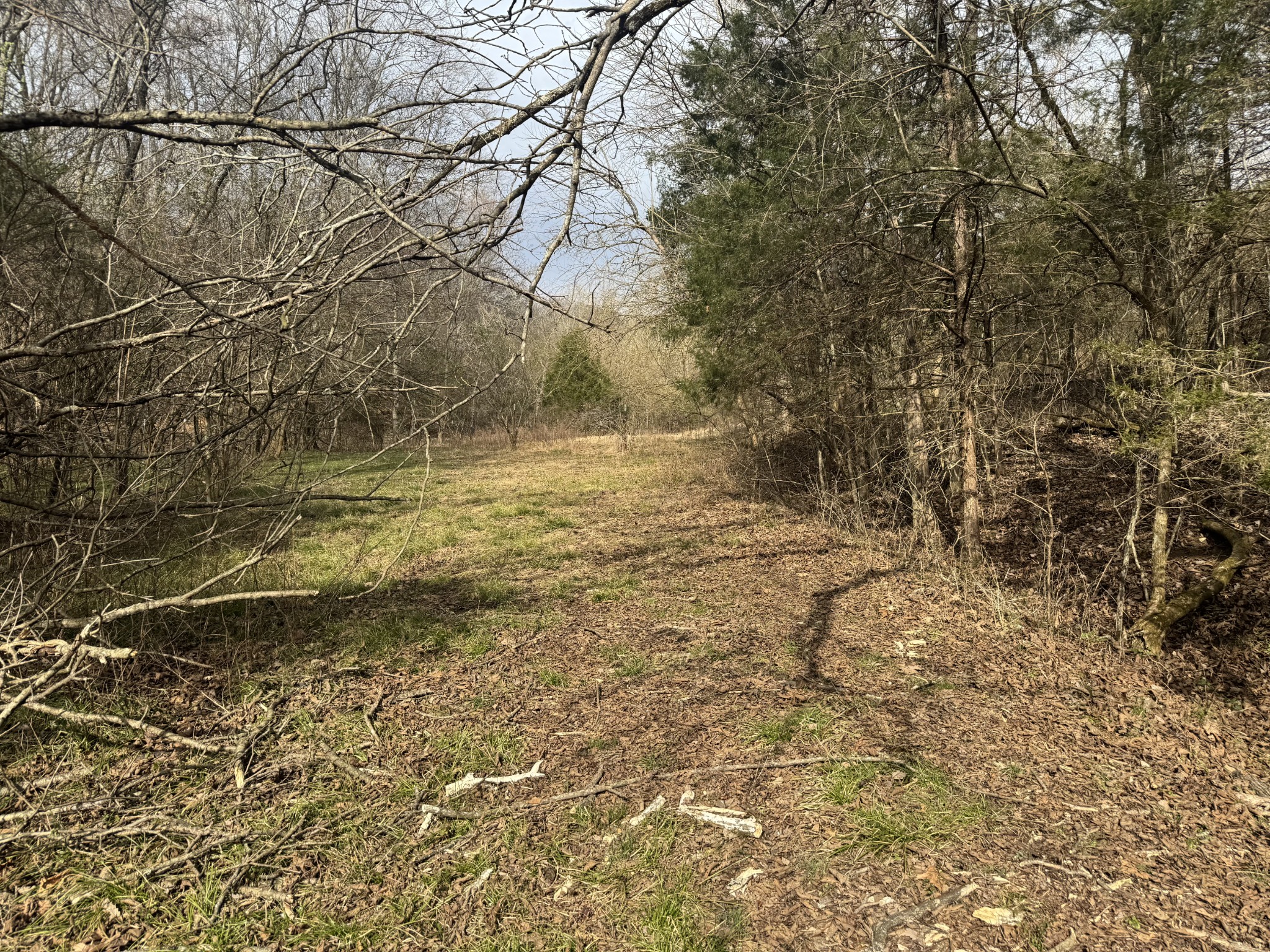 0 Wells Hollow Road Petersburg, TN 37144 - Photo 29 of 48