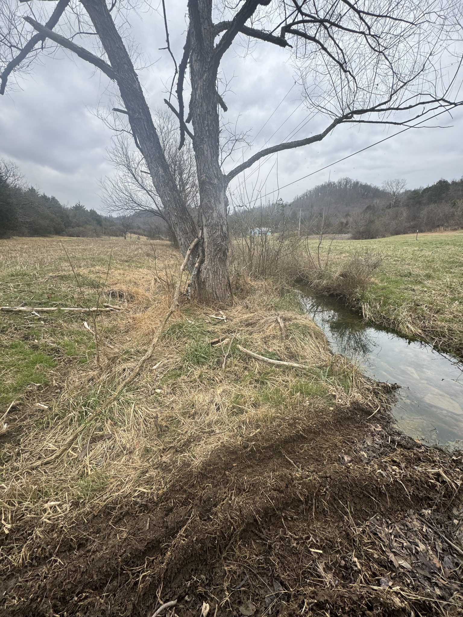 0 Wells Hollow Road Petersburg, TN 37144 - Photo 3 of 48