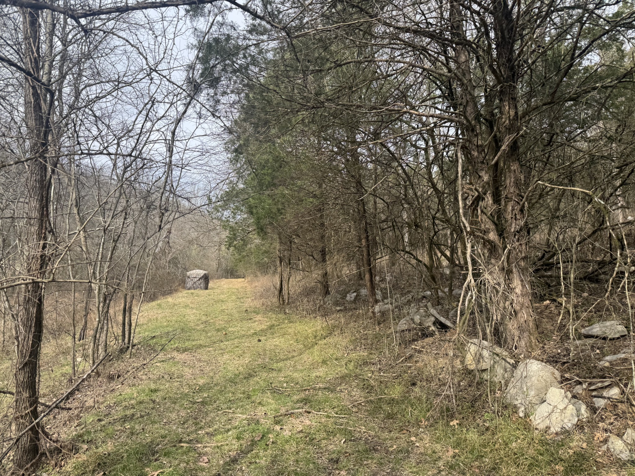 0 Wells Hollow Road Petersburg, TN 37144 - Photo 35 of 48 a view of a yard covered in snow