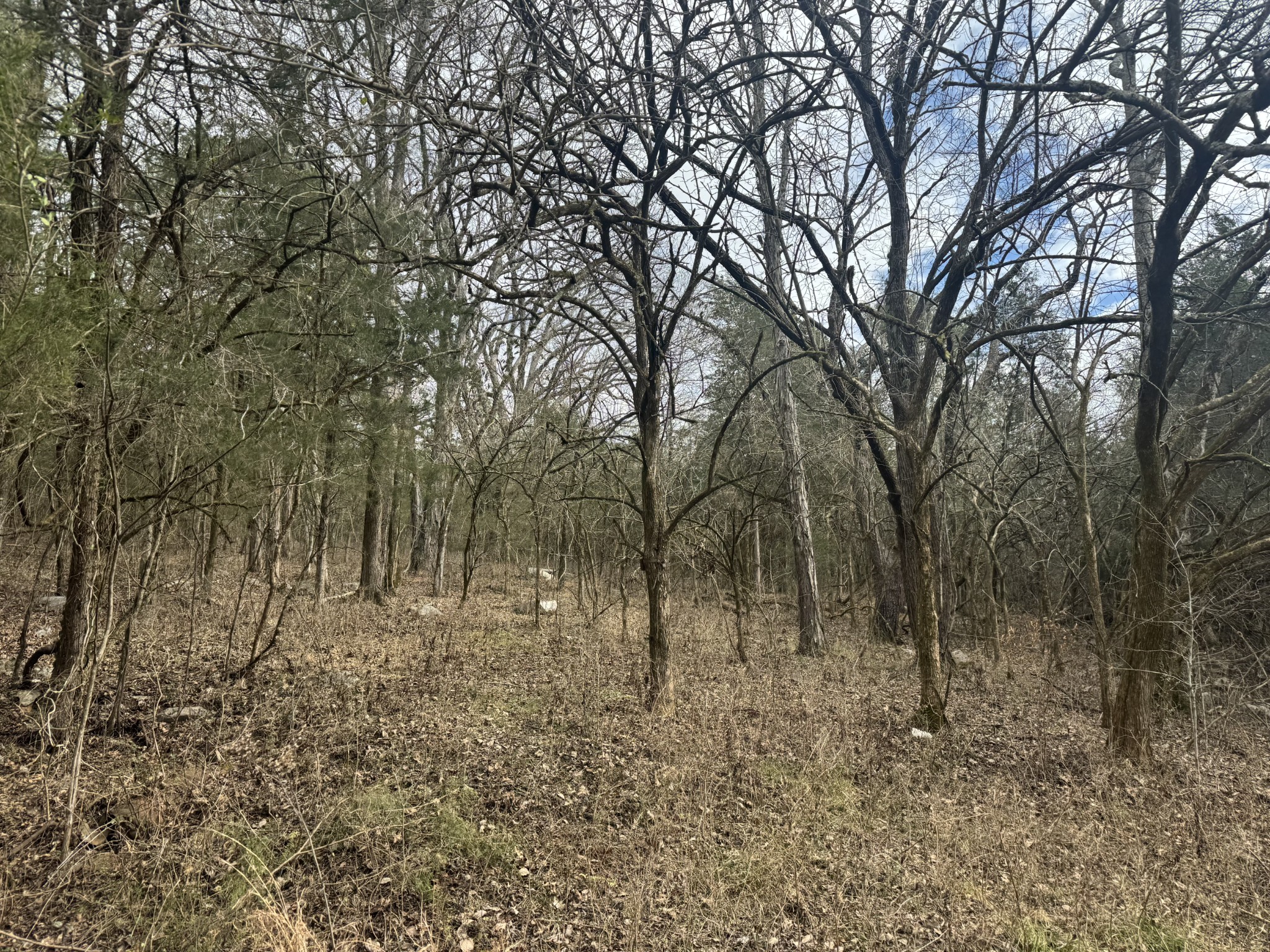 0 Wells Hollow Road Petersburg, TN 37144 - Photo 36 of 48 a view of open space with trees