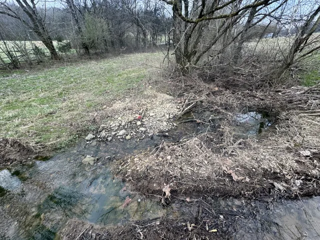 a view of outdoor space and yard