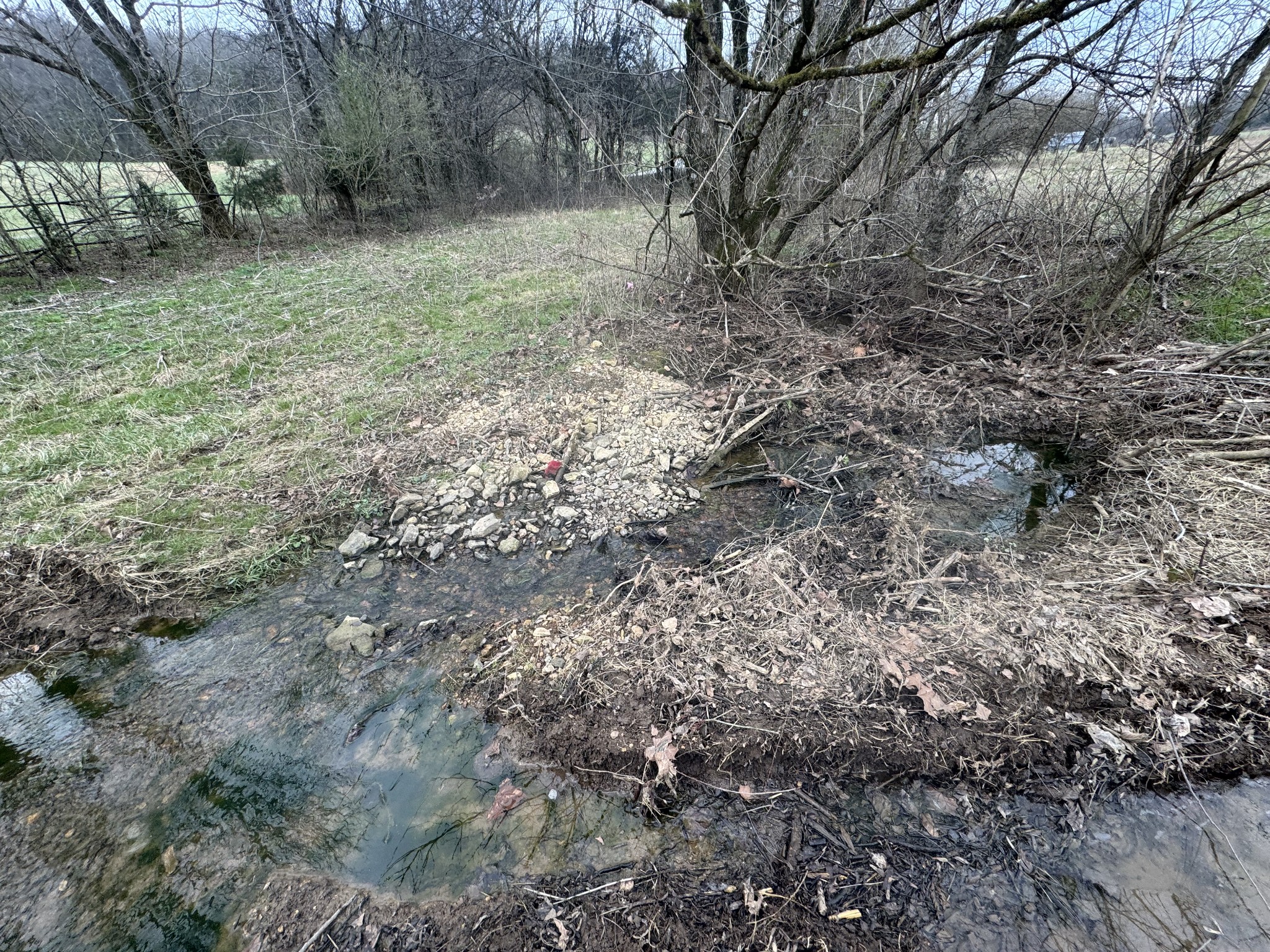 0 Wells Hollow Road Petersburg, TN 37144 - Photo 4 of 48 a view of a yard with a tree