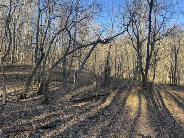 $198,900 | 0 Wells Hollow Road, Petersburg, TN 37144