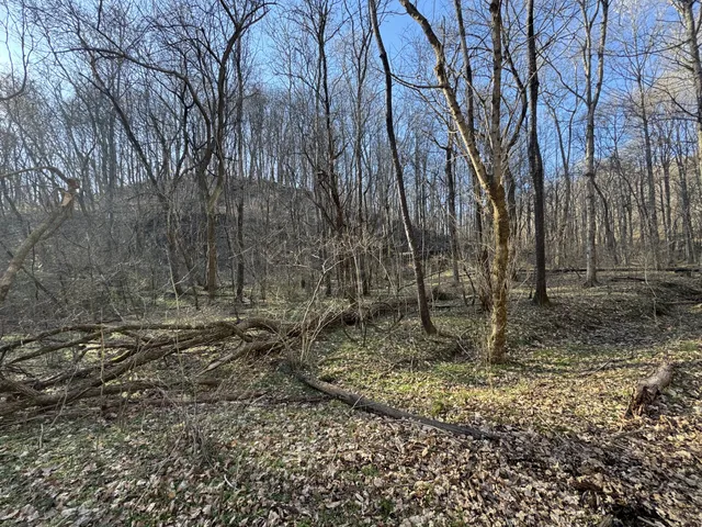 $198,900 | 0 Wells Hollow Road, Petersburg, TN 37144