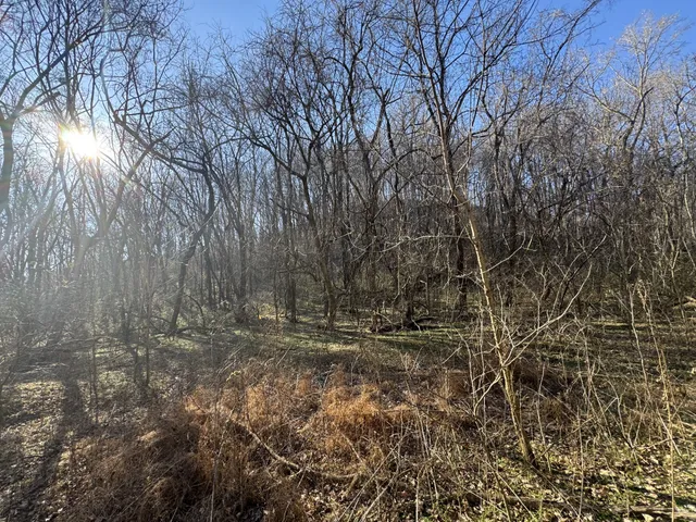 $198,900 | 0 Wells Hollow Road, Petersburg, TN 37144