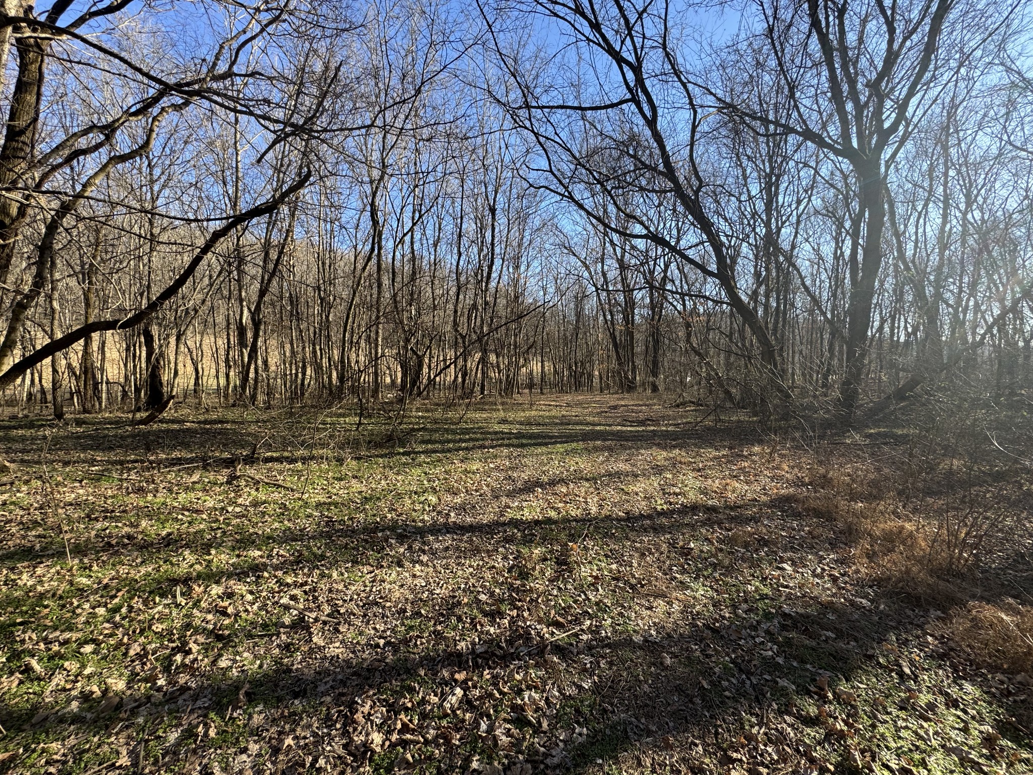 0 Wells Hollow Road Petersburg, TN 37144 - Photo 45 of 48 a view of outdoor space with yard