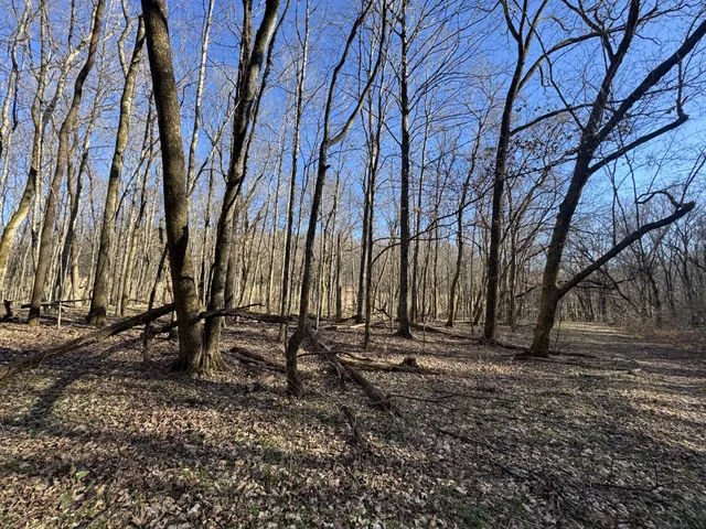 $198,900 | 0 Wells Hollow Road, Petersburg, TN 37144