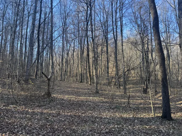 $198,900 | 0 Wells Hollow Road, Petersburg, TN 37144