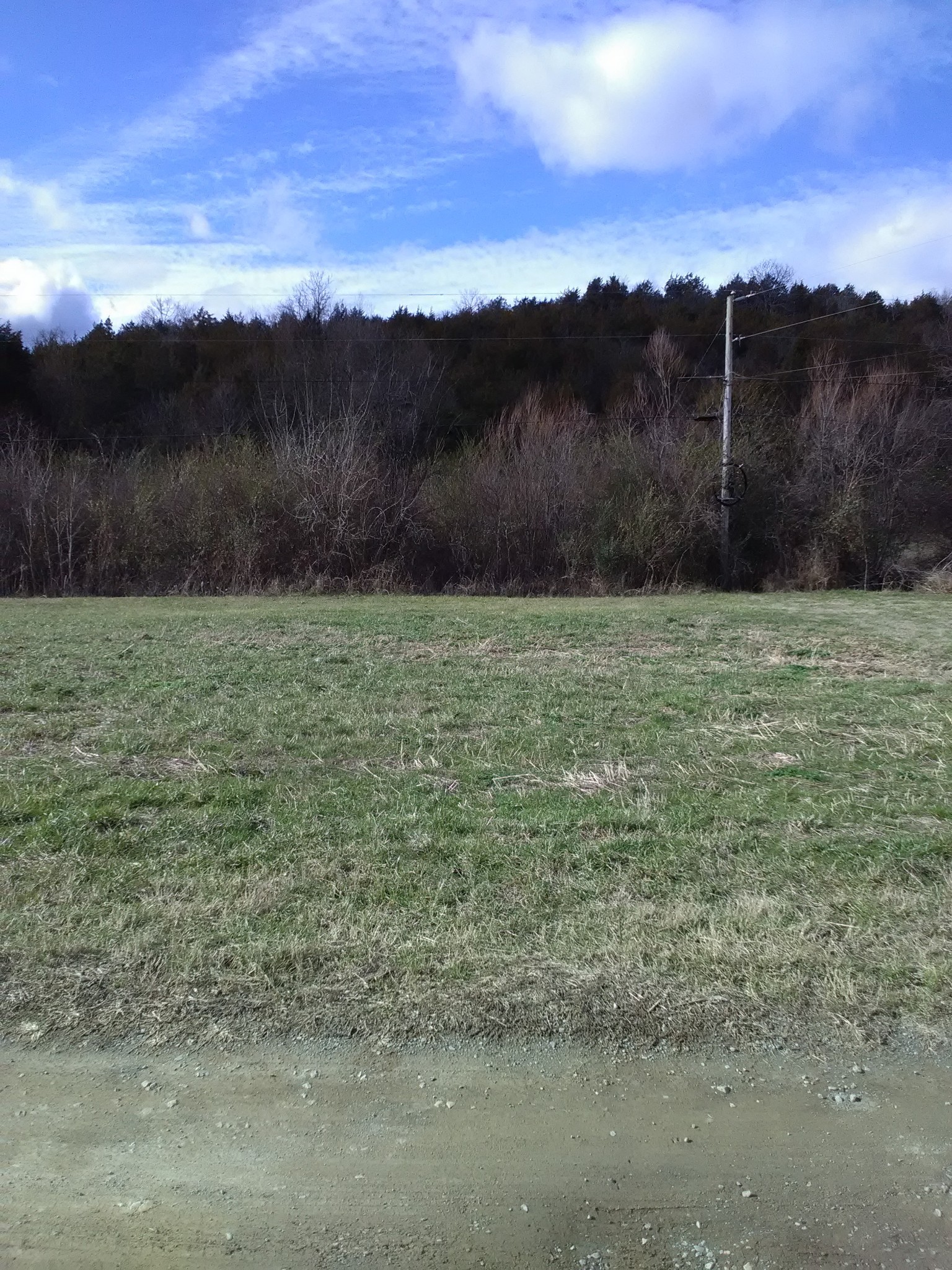 0 Wells Hollow Road Petersburg, TN 37144 - Photo 7 of 48 a view of outdoor space and mountain view