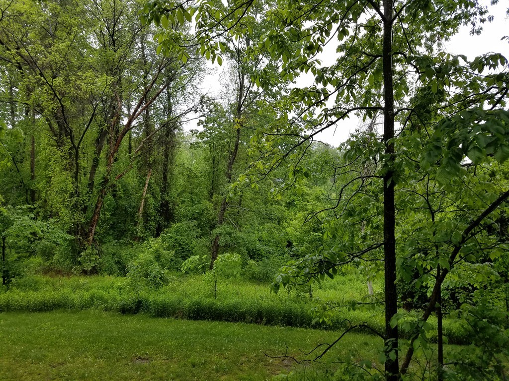241 Winding Pond Road, Unit 241 Londonderry, NH 03053 - Photo 21 of 30 a view of a lush green forest