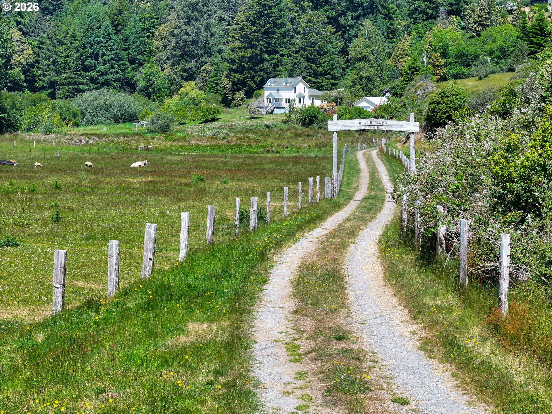 94665 North Bank Pistol River Road Gold Beach, OR 97444 - Photo 4 of 48 Driveway