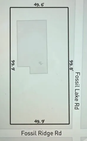 a view of a garden with potted plants