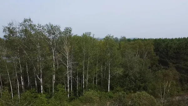 $29,900 | 16 Highway 1, Unit RT, Frenchville, ME 04745