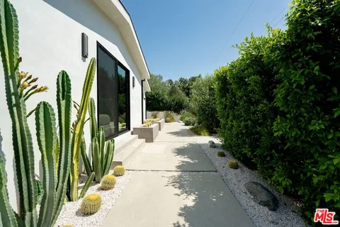 a view of a garden with plants