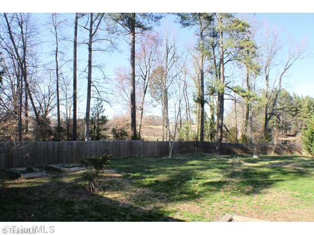 3916 Lewis Road Snow Camp, NC 27349 - Photo 12 of 15 Yard/Garden.